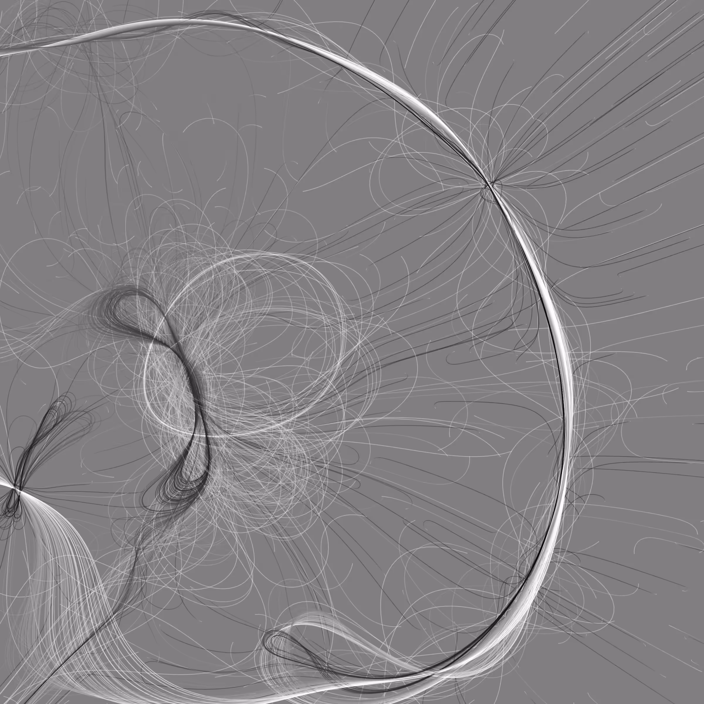 Phototaxis #65