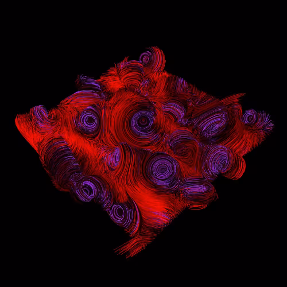 Etudes on Curl Vectorfields - No.2