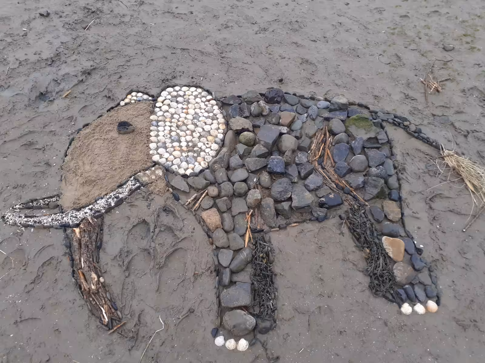 Beached Elephant
