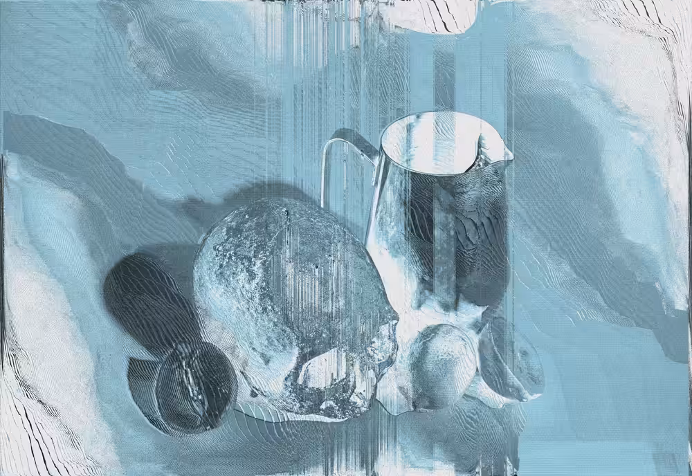 X-RAY STILL LIFE