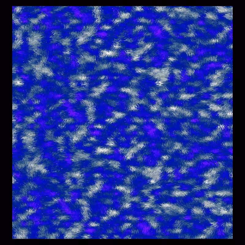 Pigmenta #26