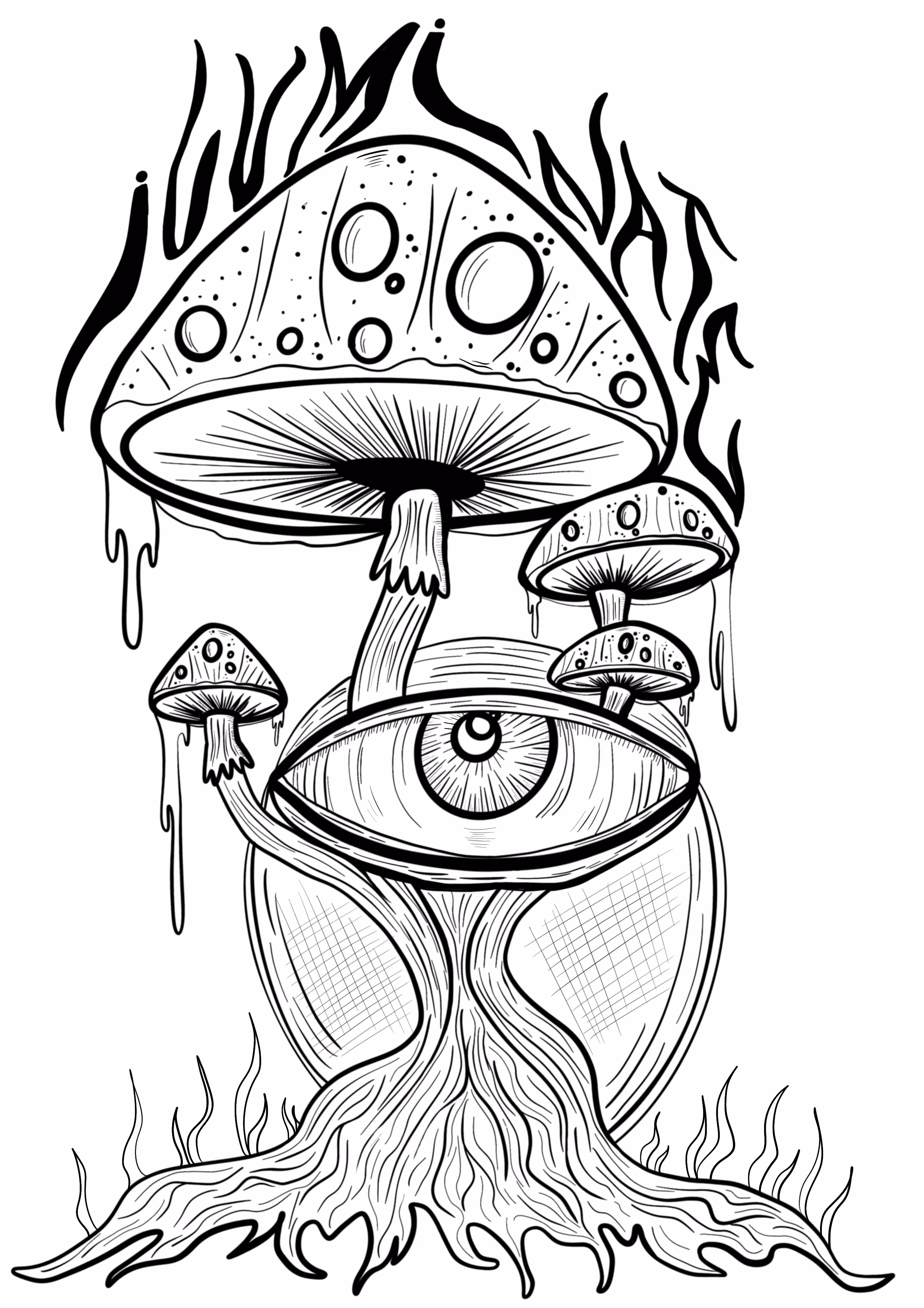 Mushrooms Illuminate