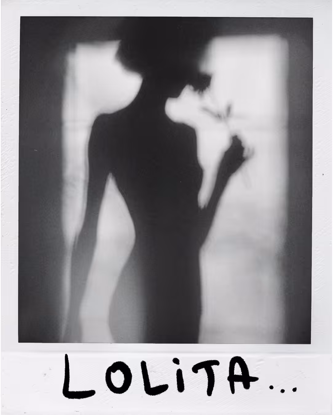 Polaroid 116