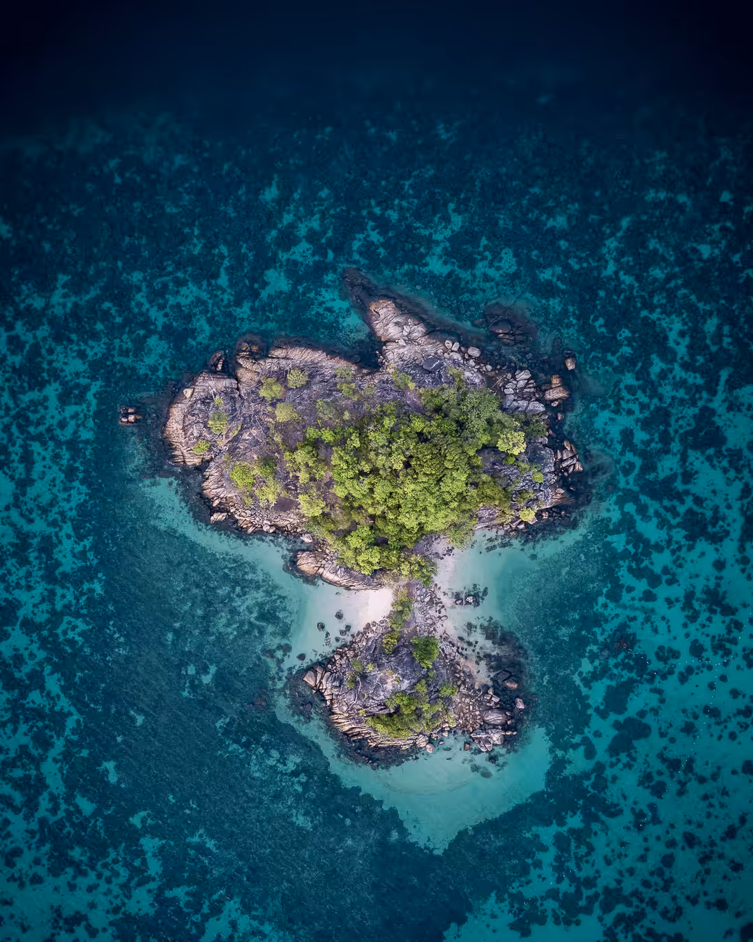 Tropical Vibes #29 ( The Island )