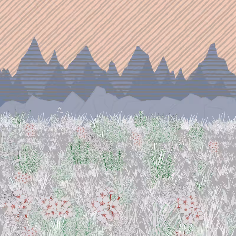 Mountain Meadows #40
