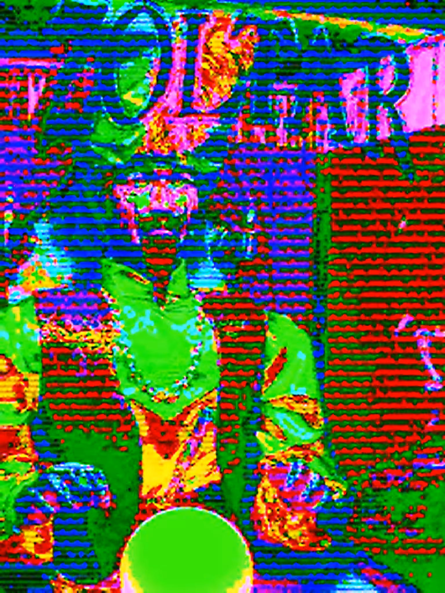 Zoltar