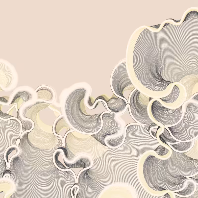 Meander River Plot v2 #46