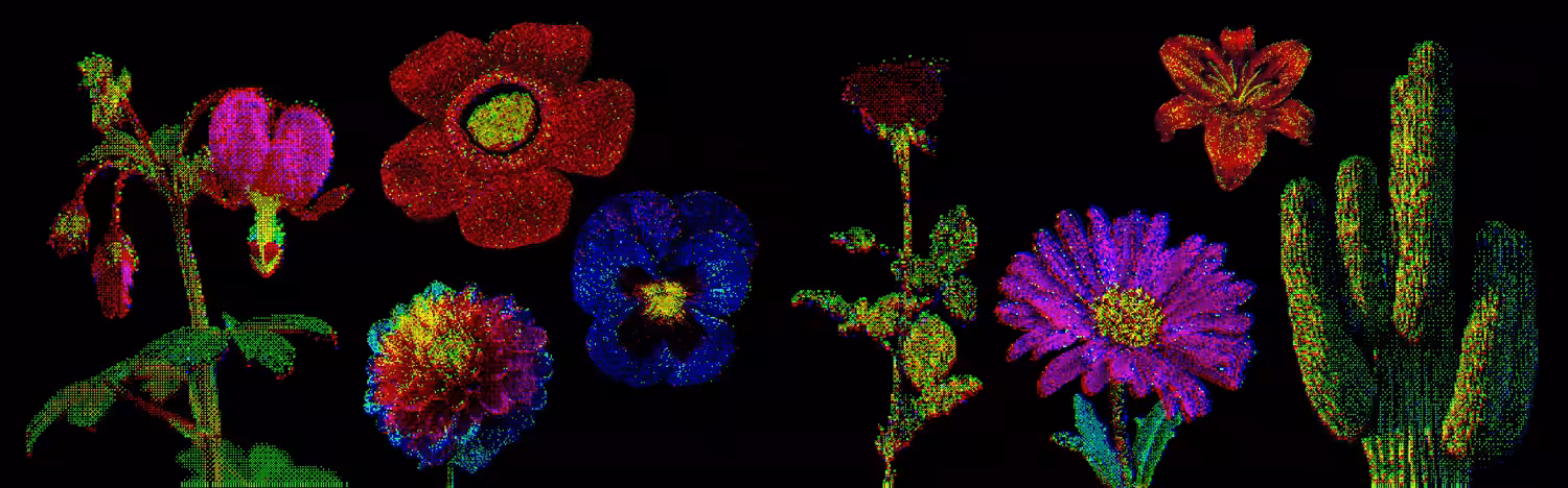 Flowers - The Video