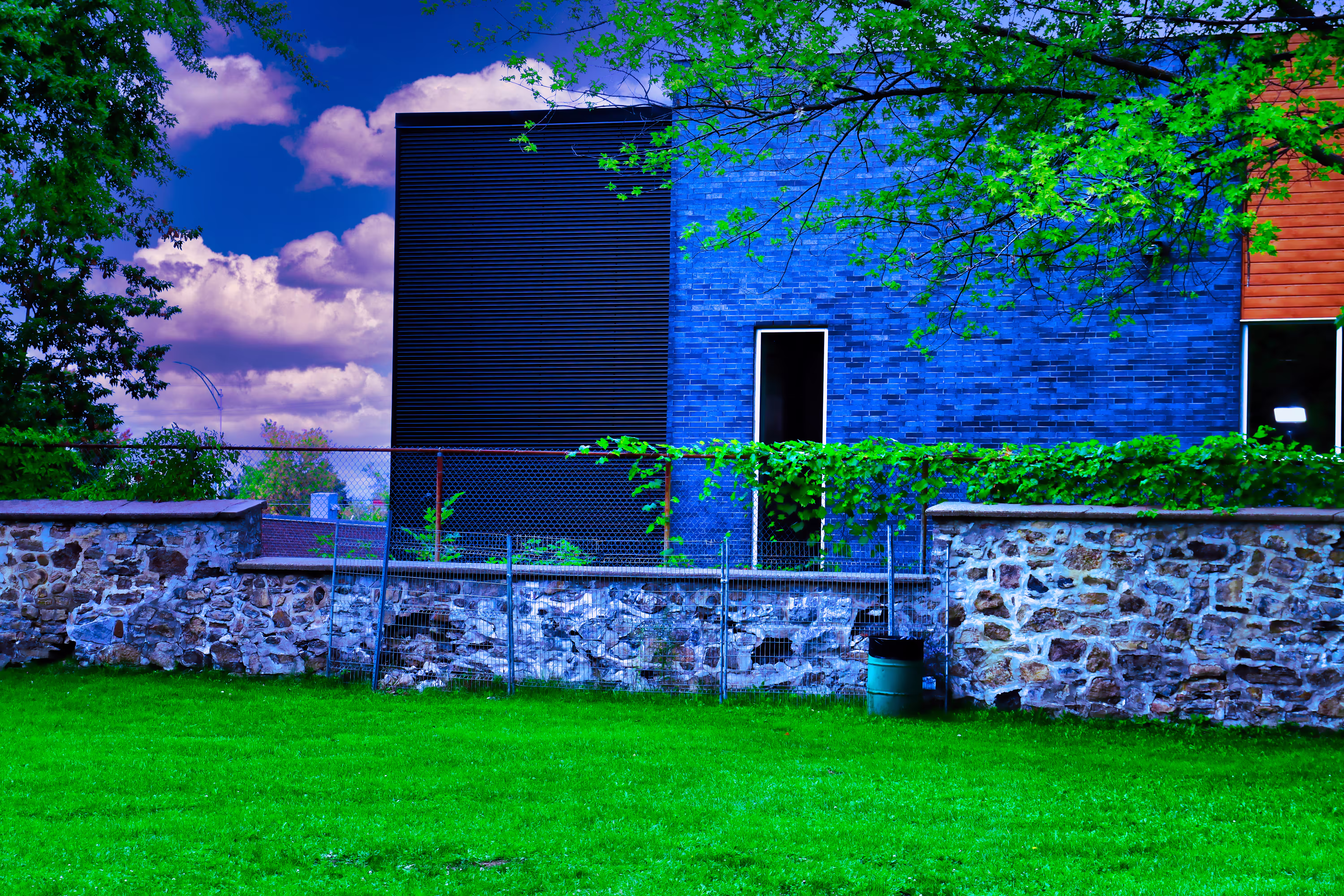 Blue Daydream