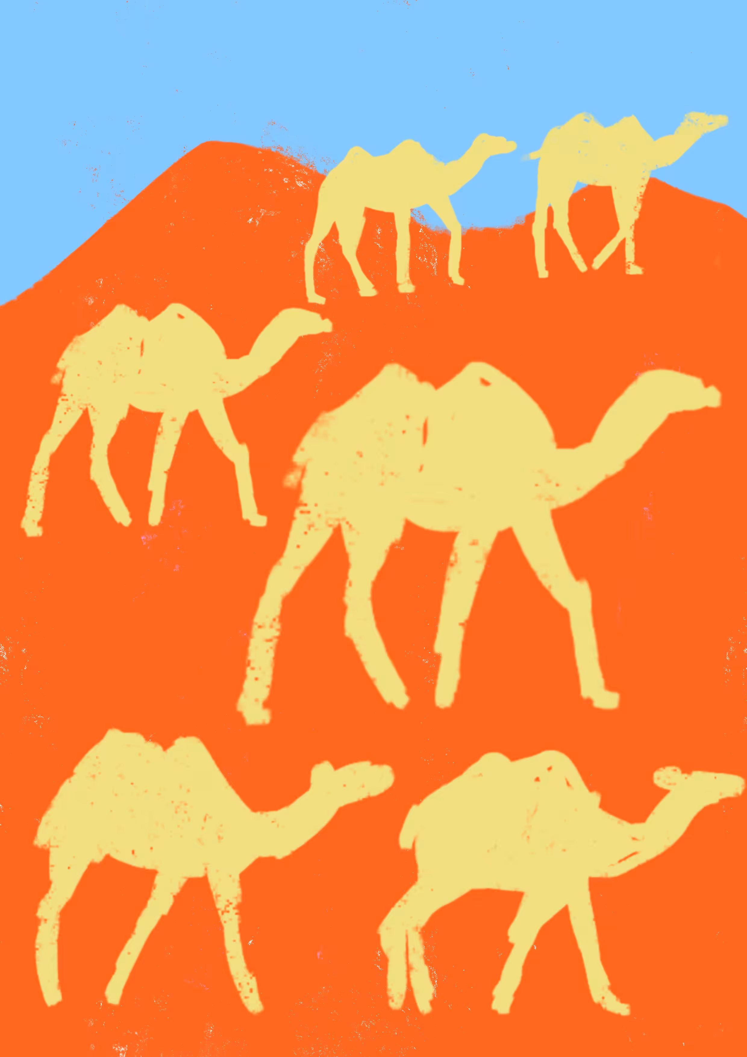 camel