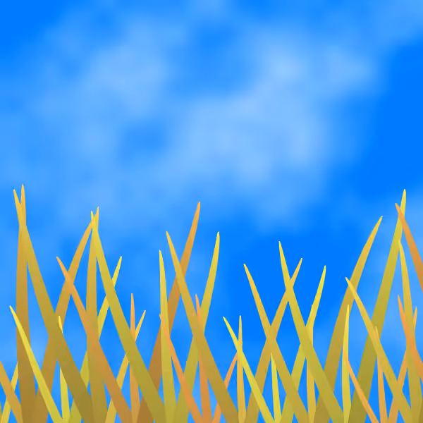 Fields of Ukraine #27
