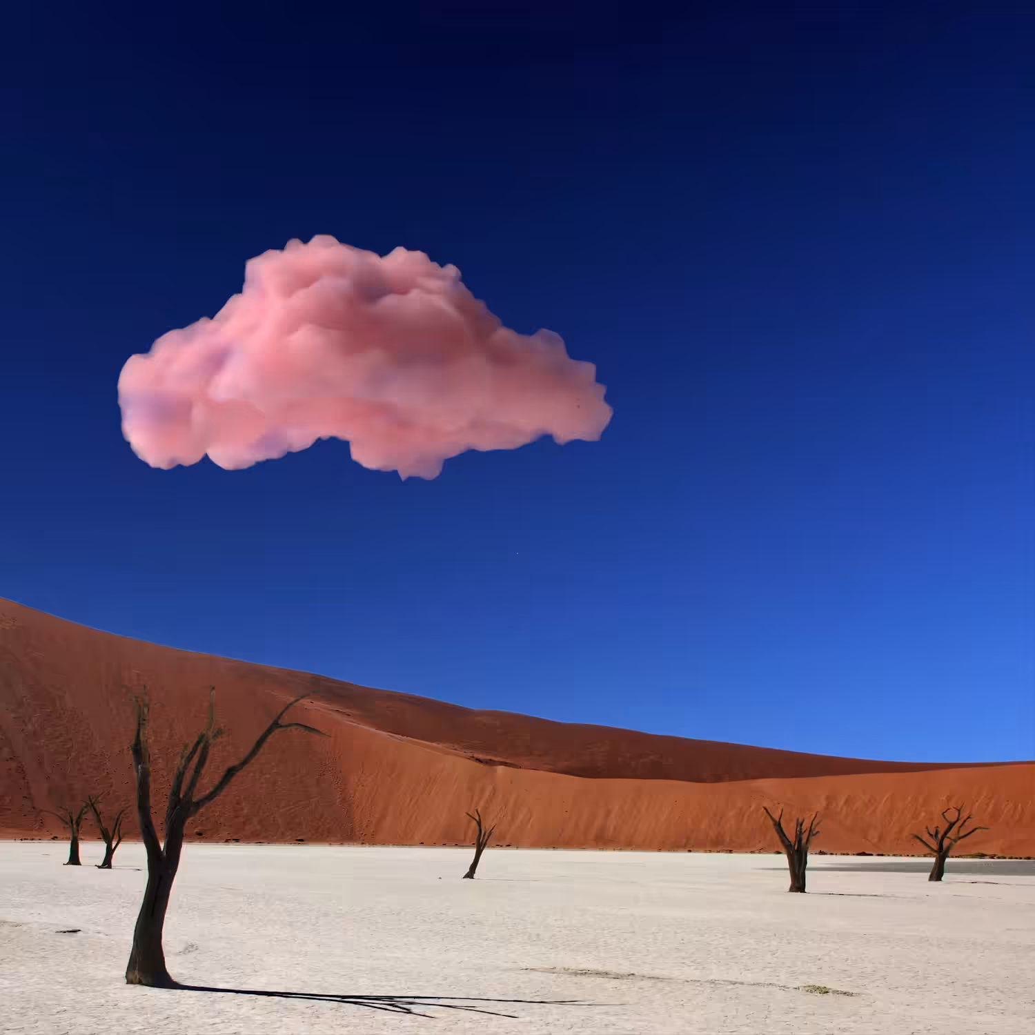 God's Land - Namibia Deadvlei