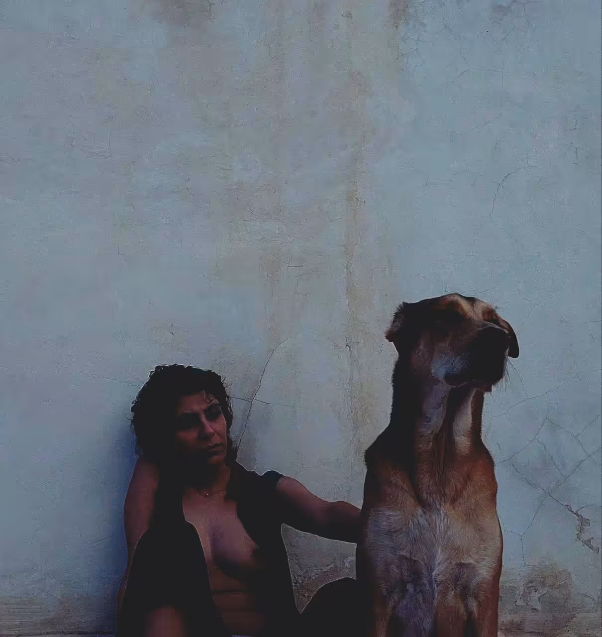 Sareh 2