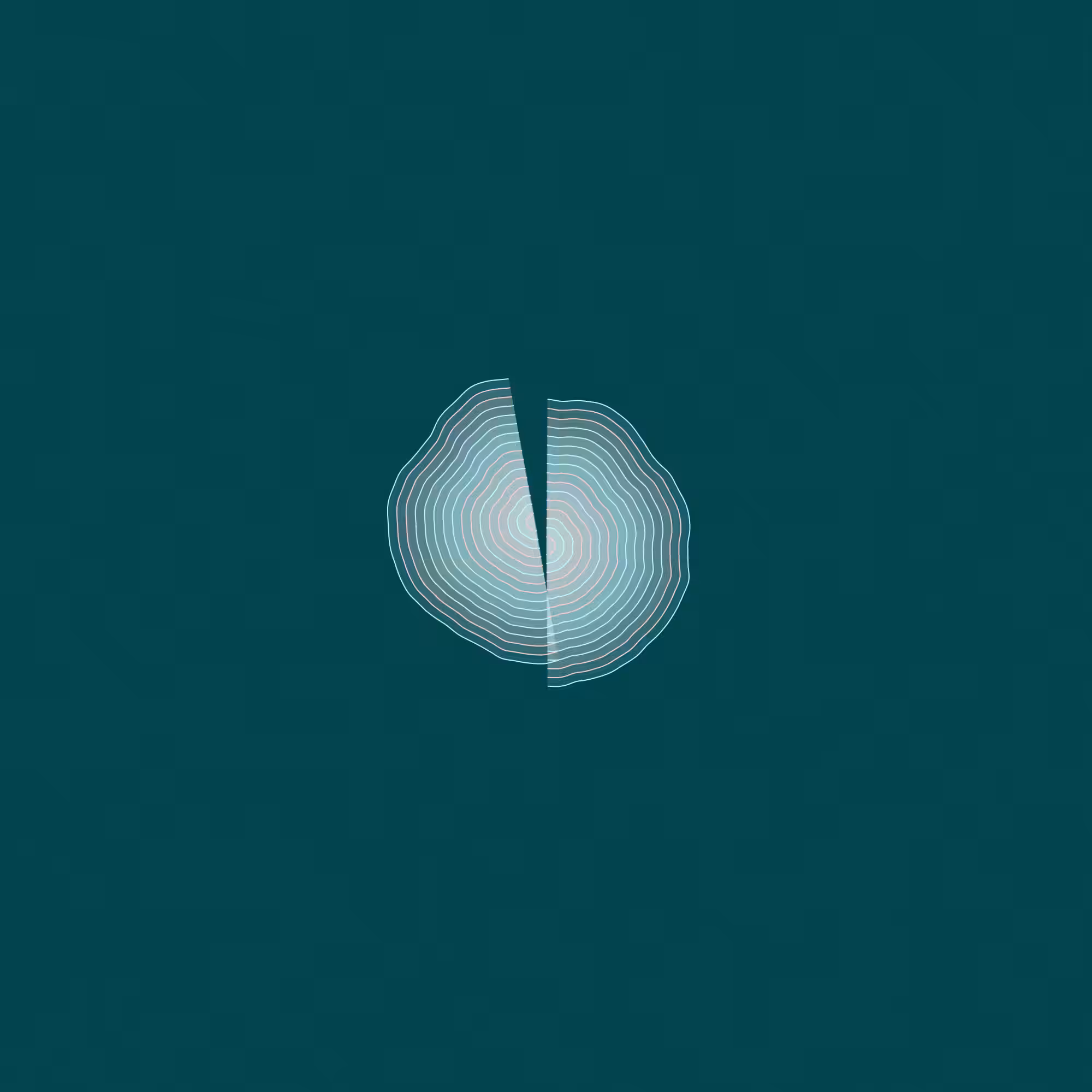 Hashed Onions #13