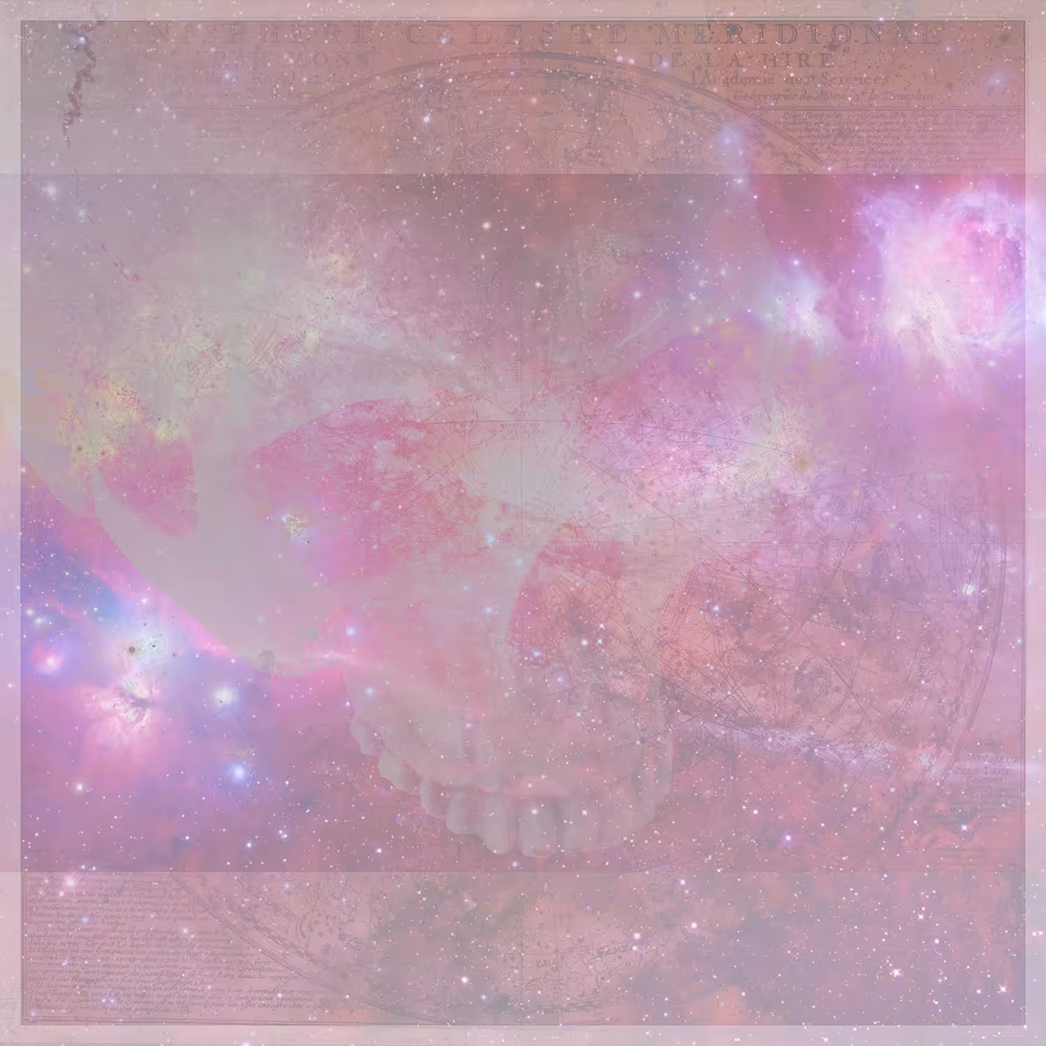 COSMIC-ANATOMY: Frontal Causation