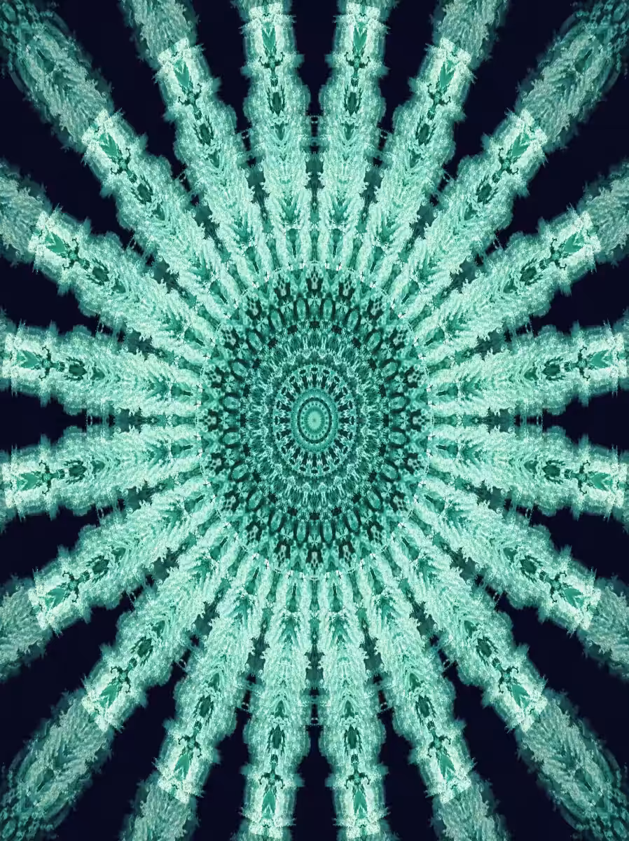 Lunacy