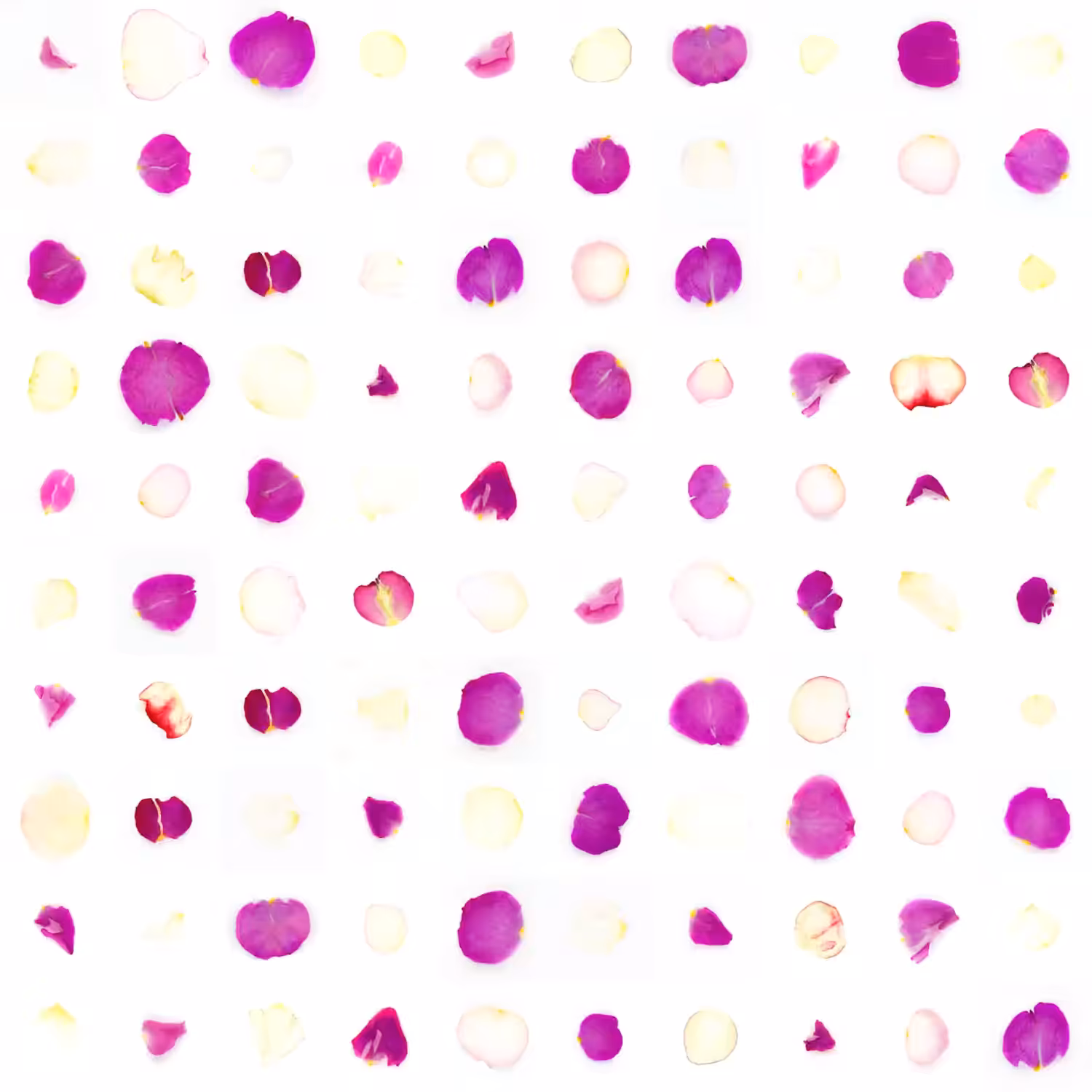 Infinite Petals 10x10#10188