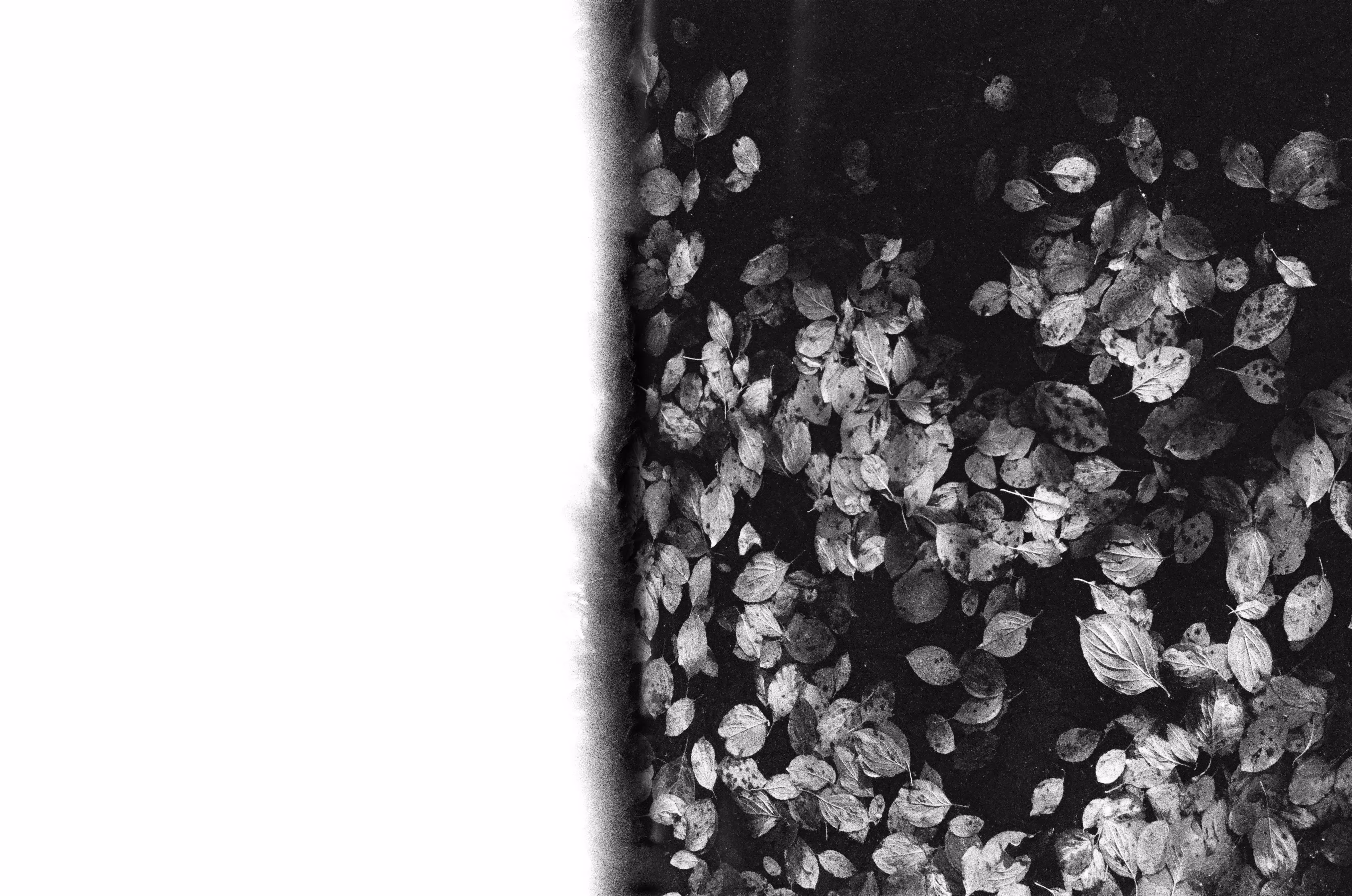 black water