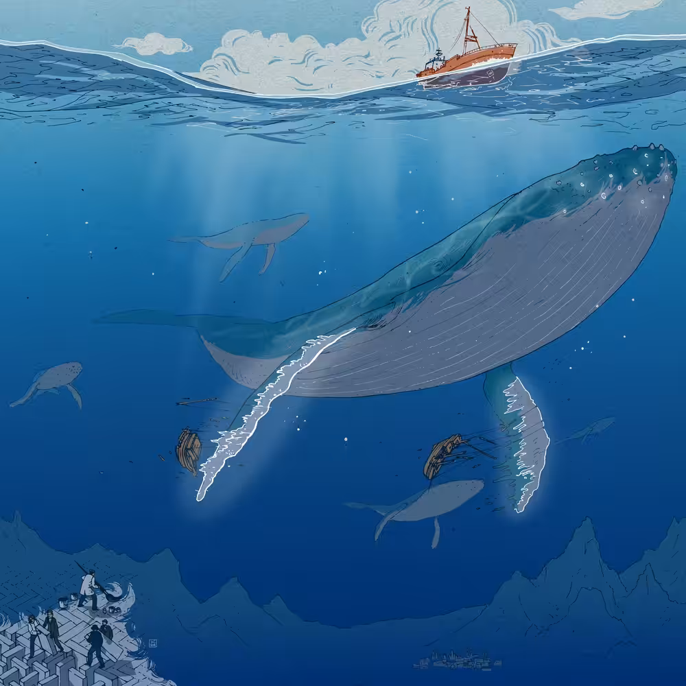 Whale