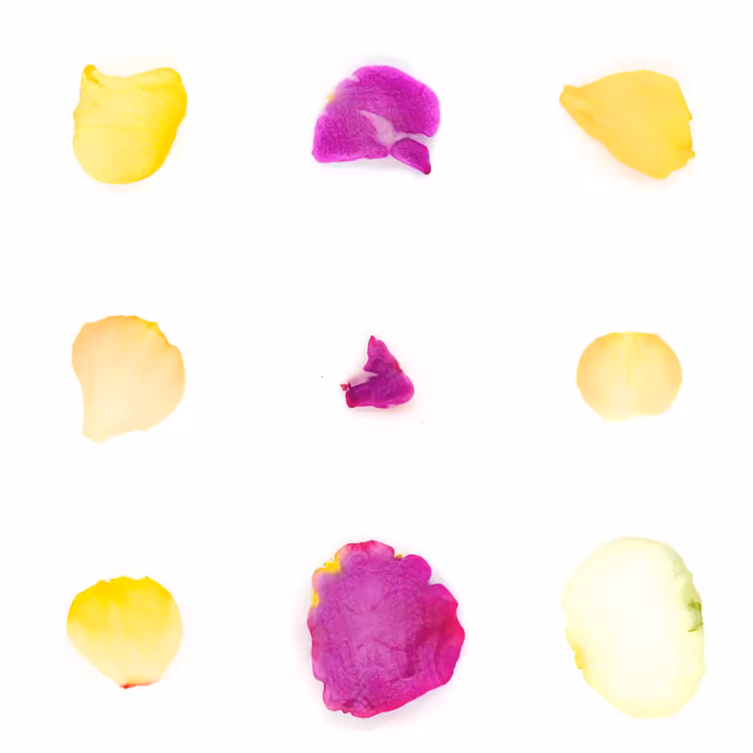 Infinite Petals 3x3#1672