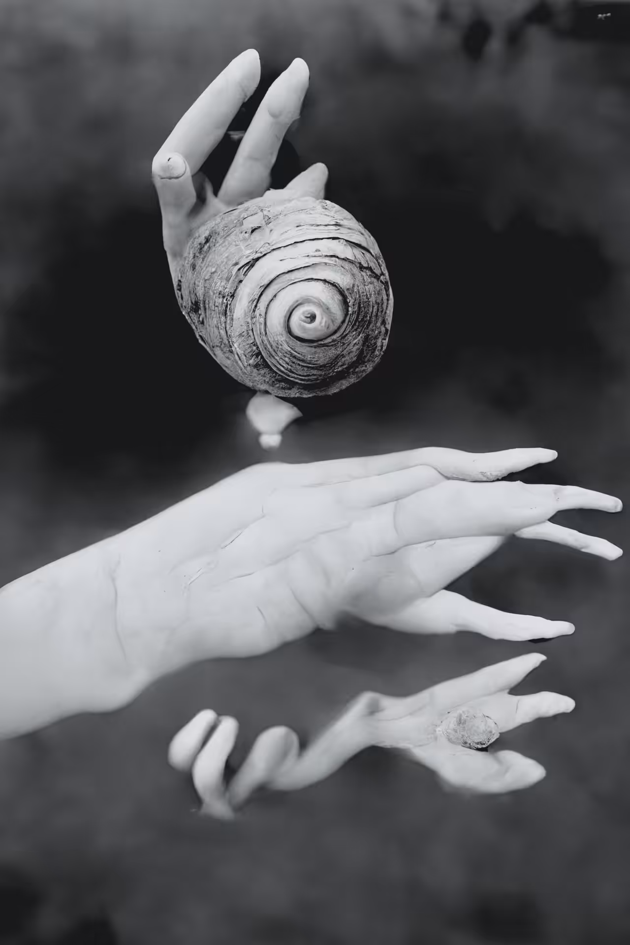 11A // Untitled (Hand-Shell) by Dora Maar, An Early Attempt