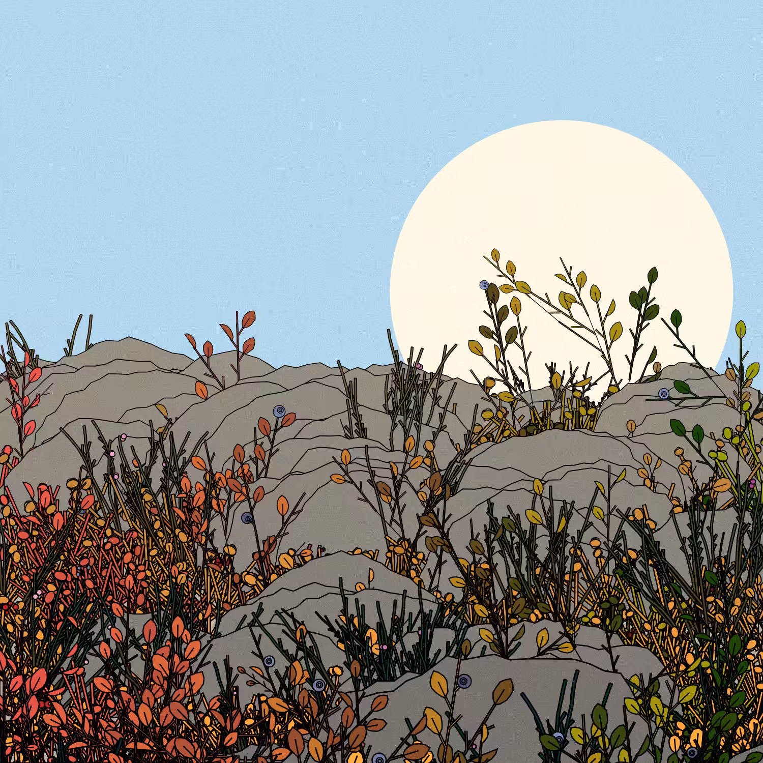 Swedish Forest #136