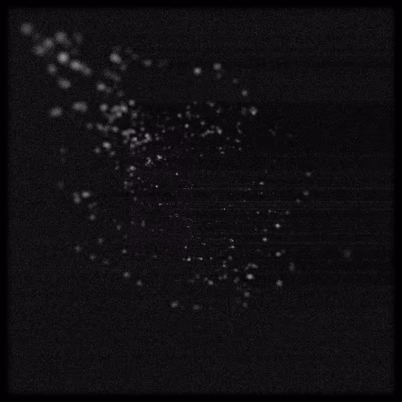 Rays & Dust #3