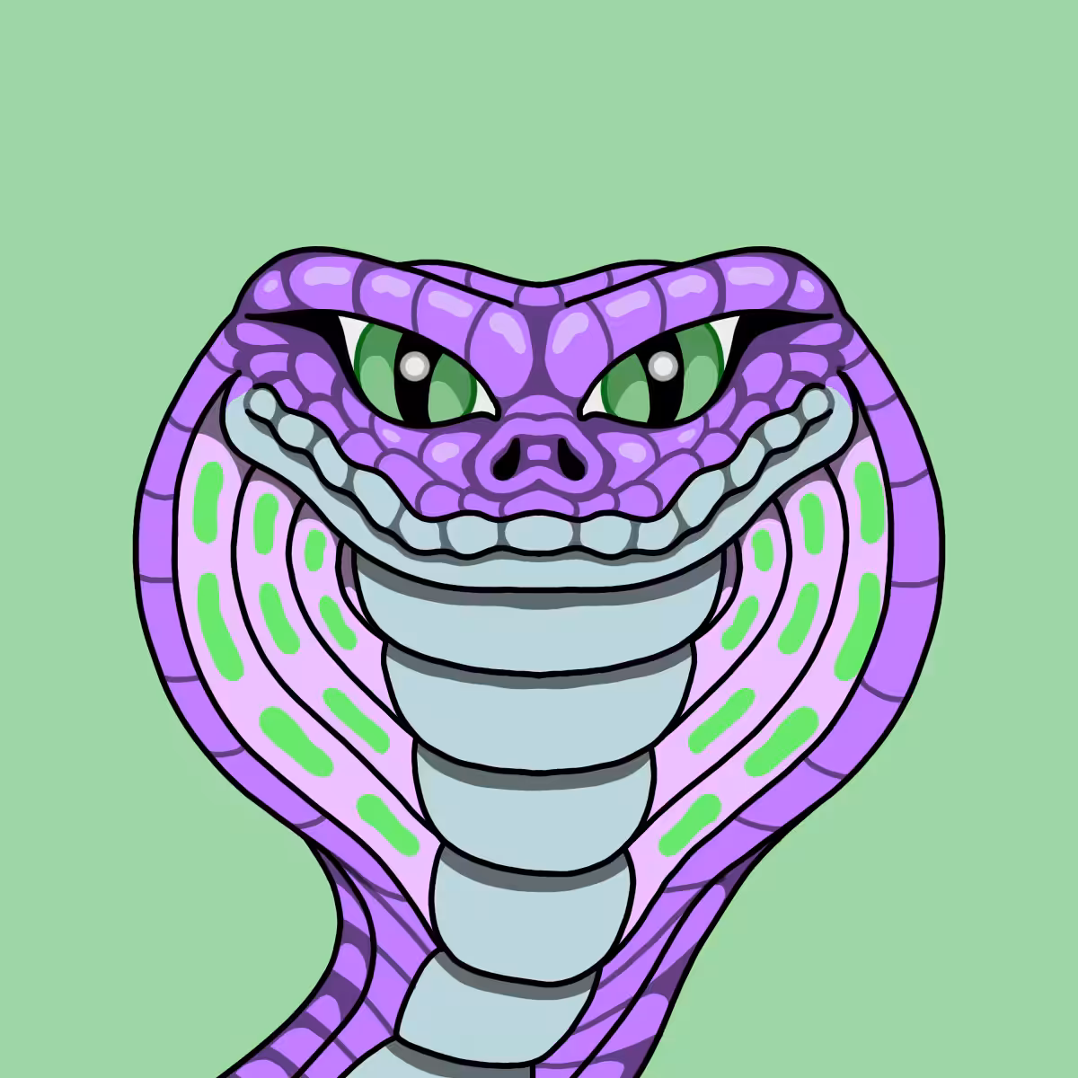 Hedz: |Hedz| Cobra