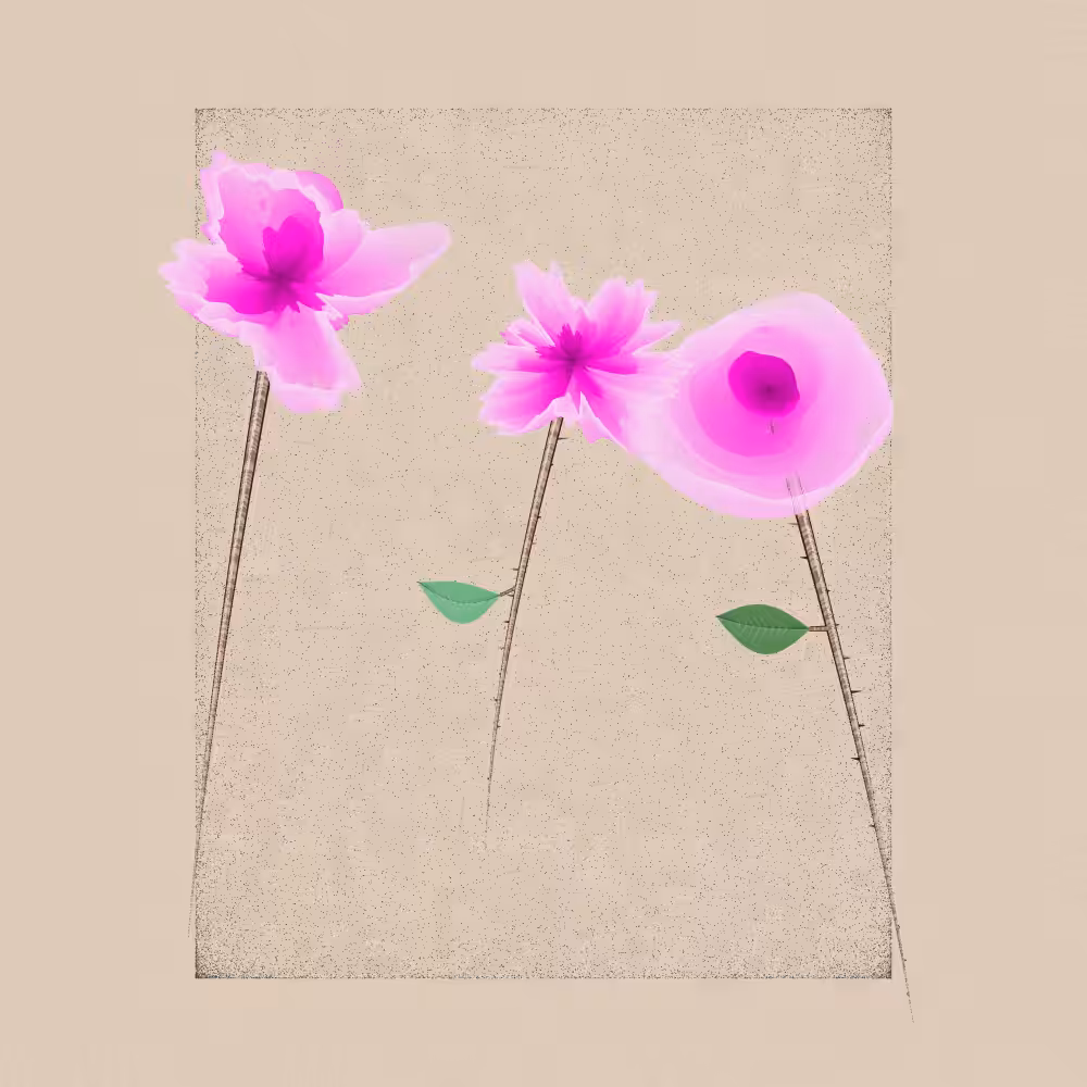 Magnolia #102
