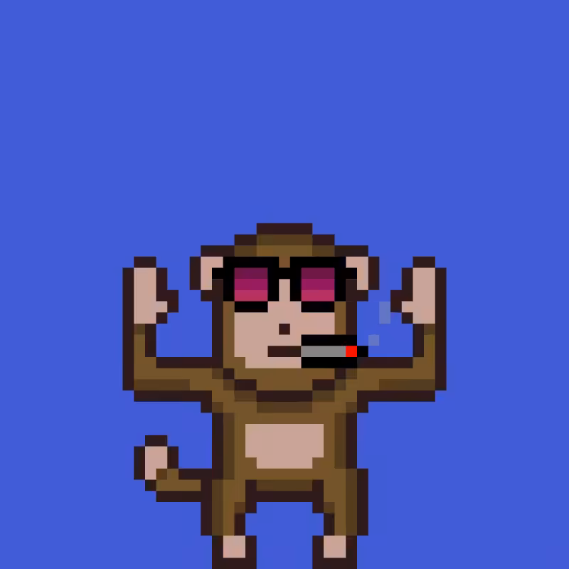 fxMonkeys #48