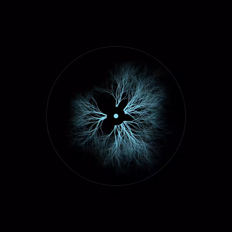 EYE #70
