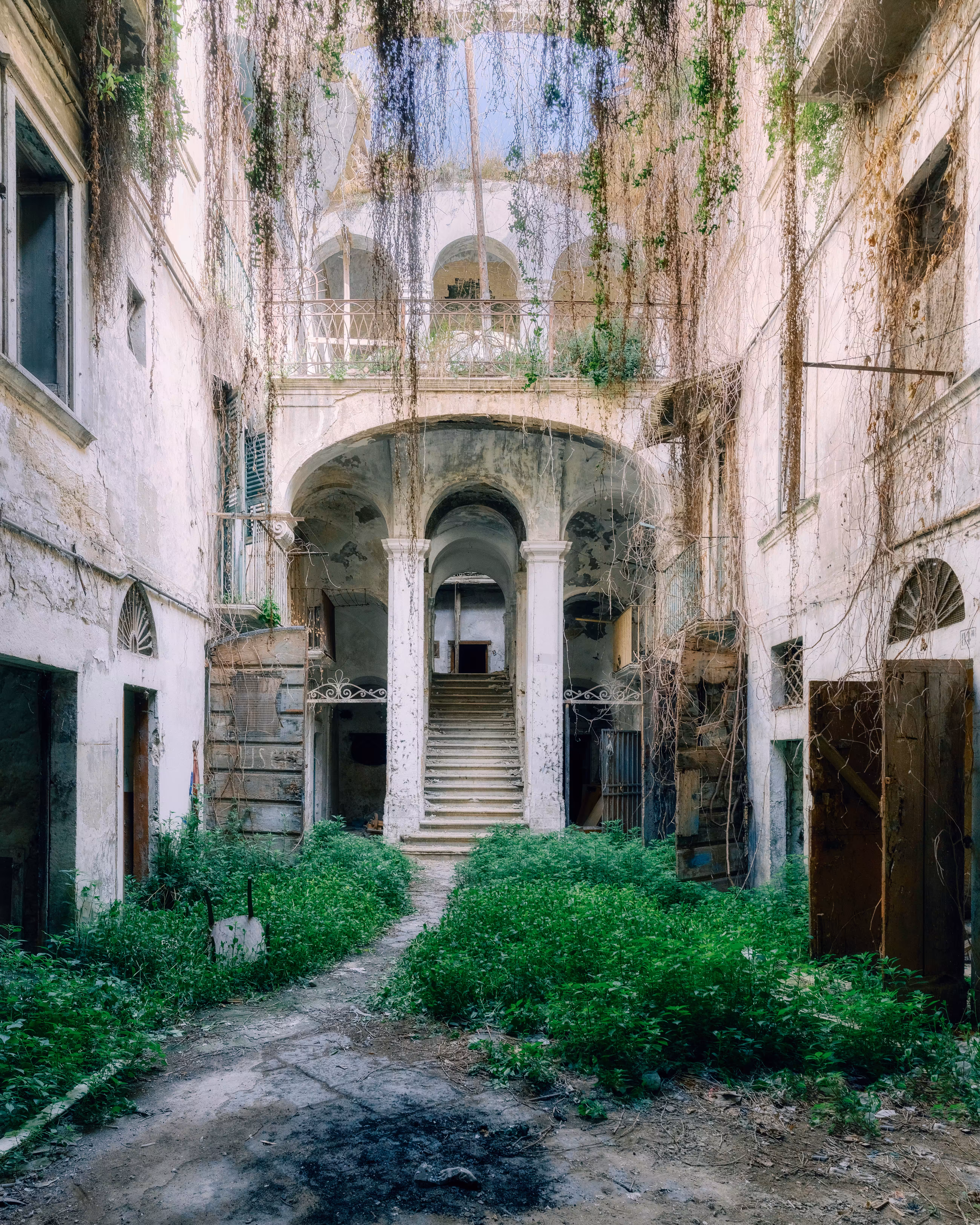 THE HANGING GARDEN