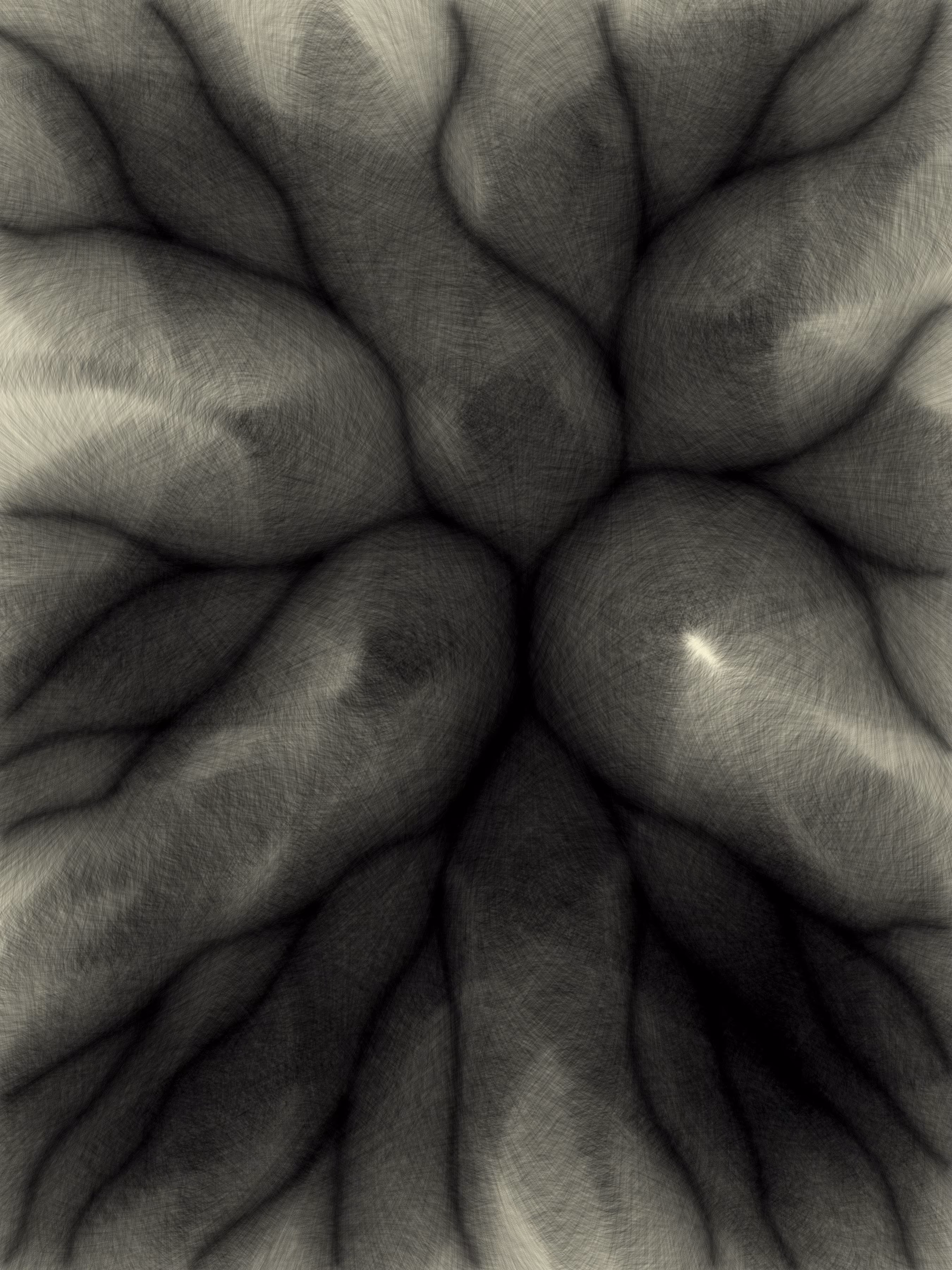 fuzzy vergence 11