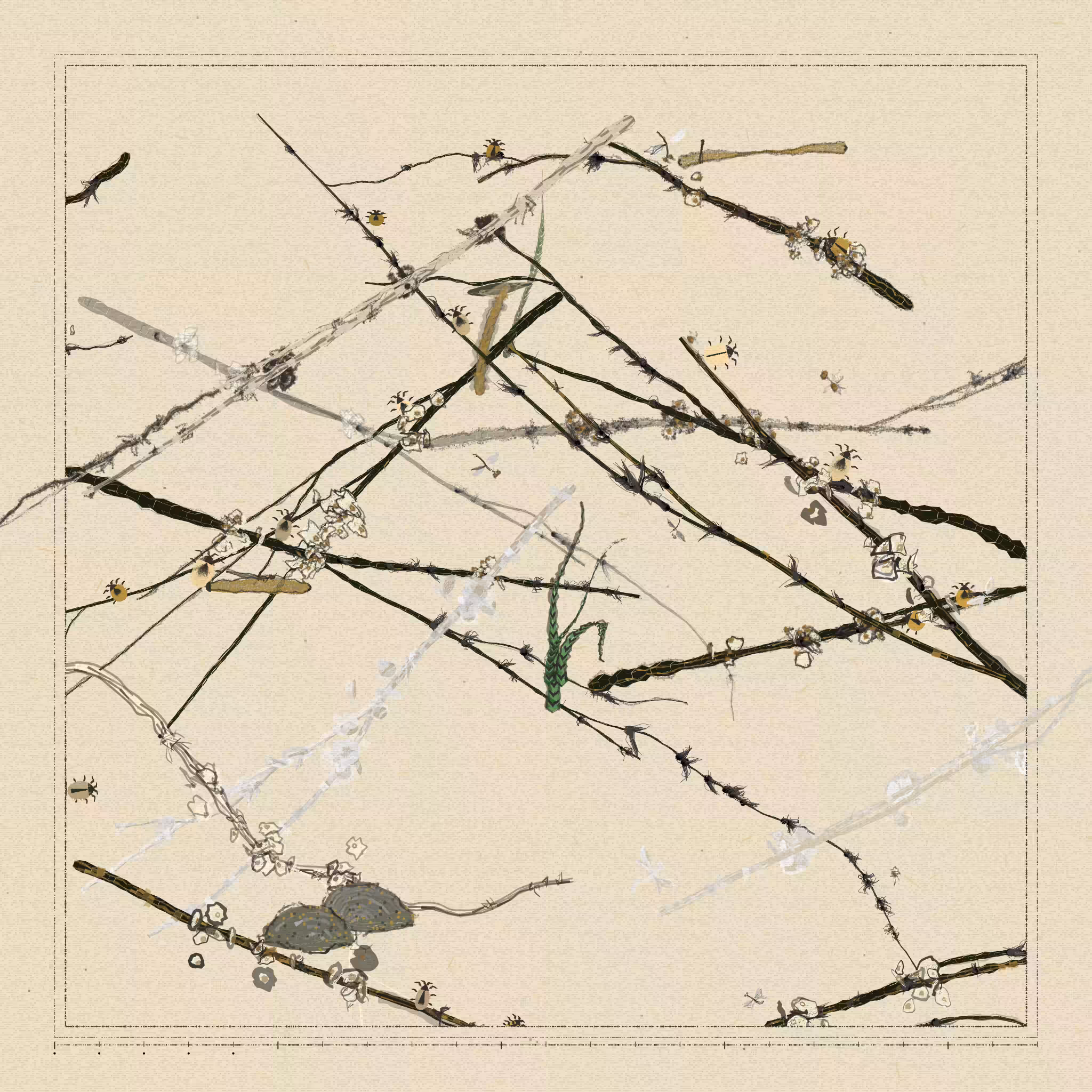 Polypaths | 植徑集 #225