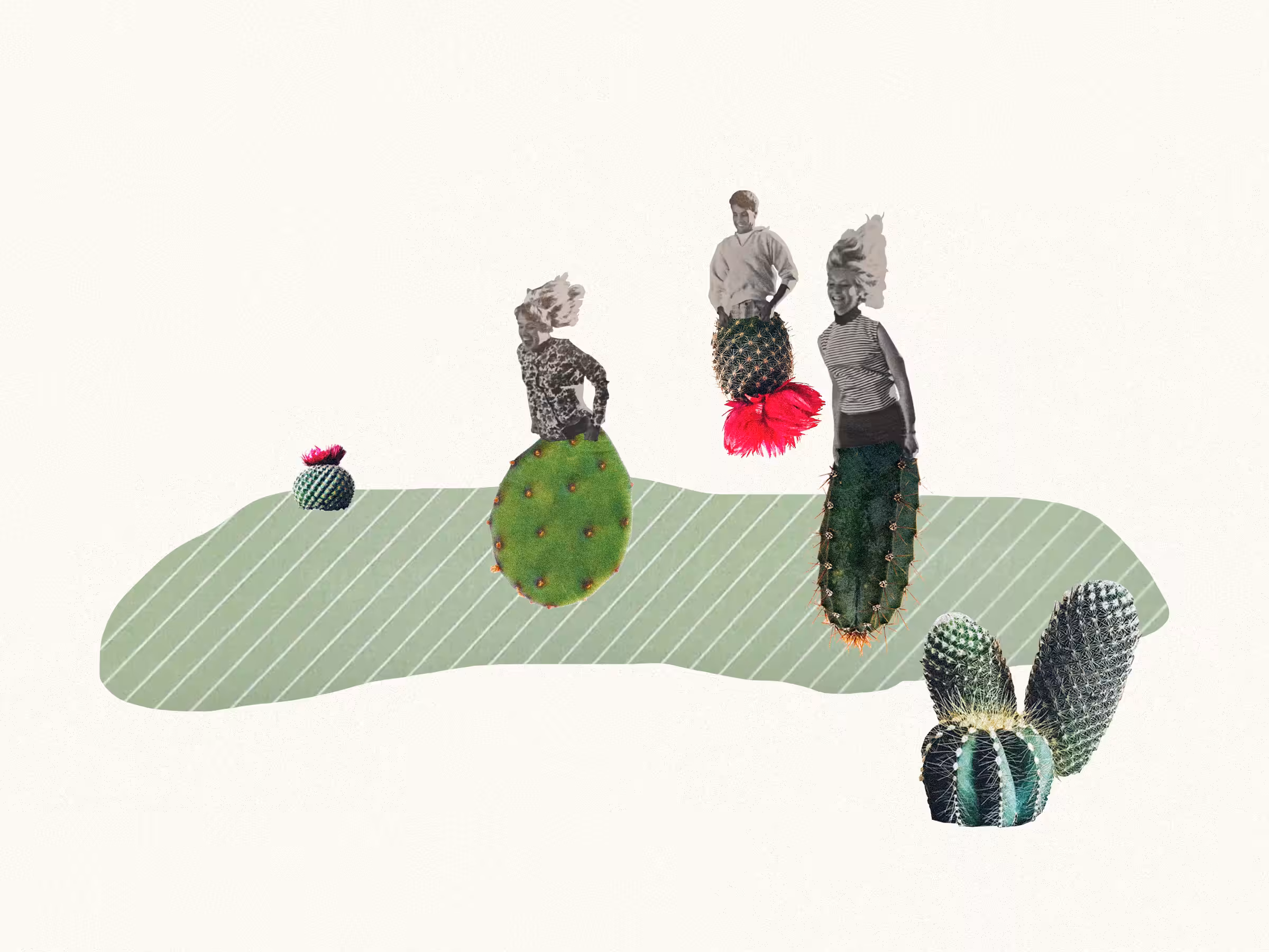 Cactus Race