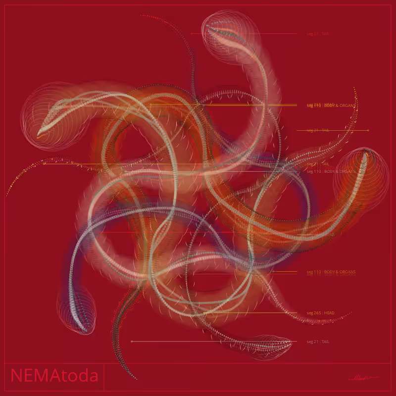 NEMA #91