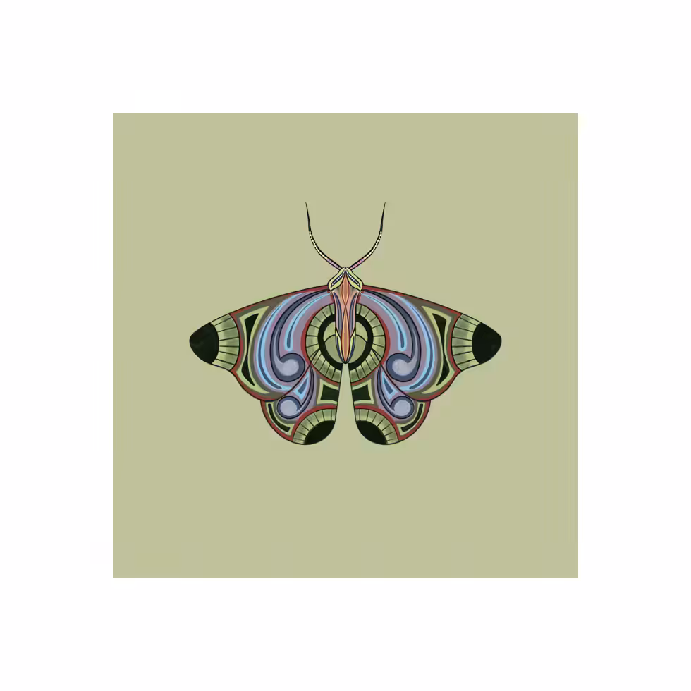 The Moth Experiment  #36