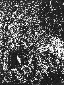 Into the Void