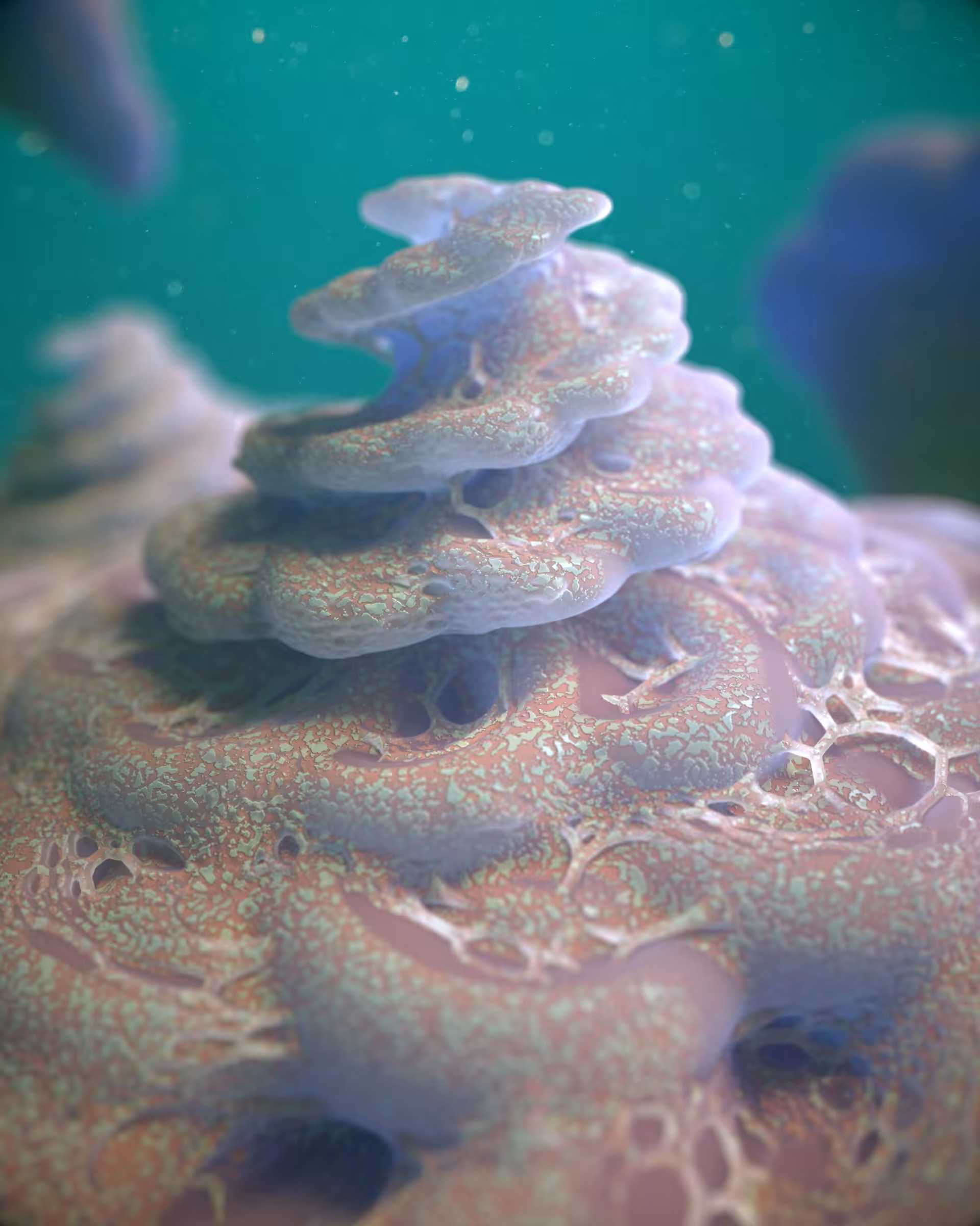 Ossification
