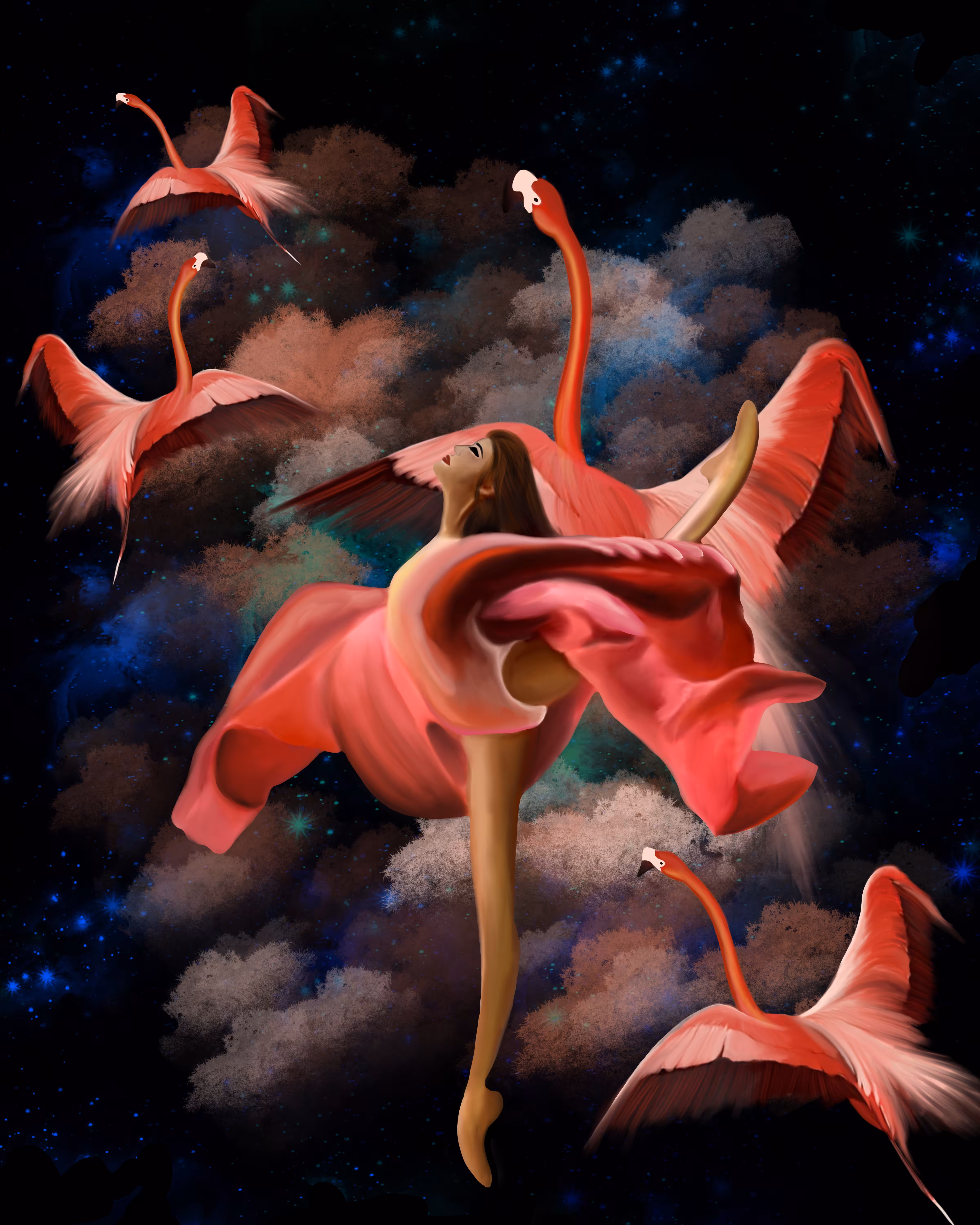 Birds of Paradise