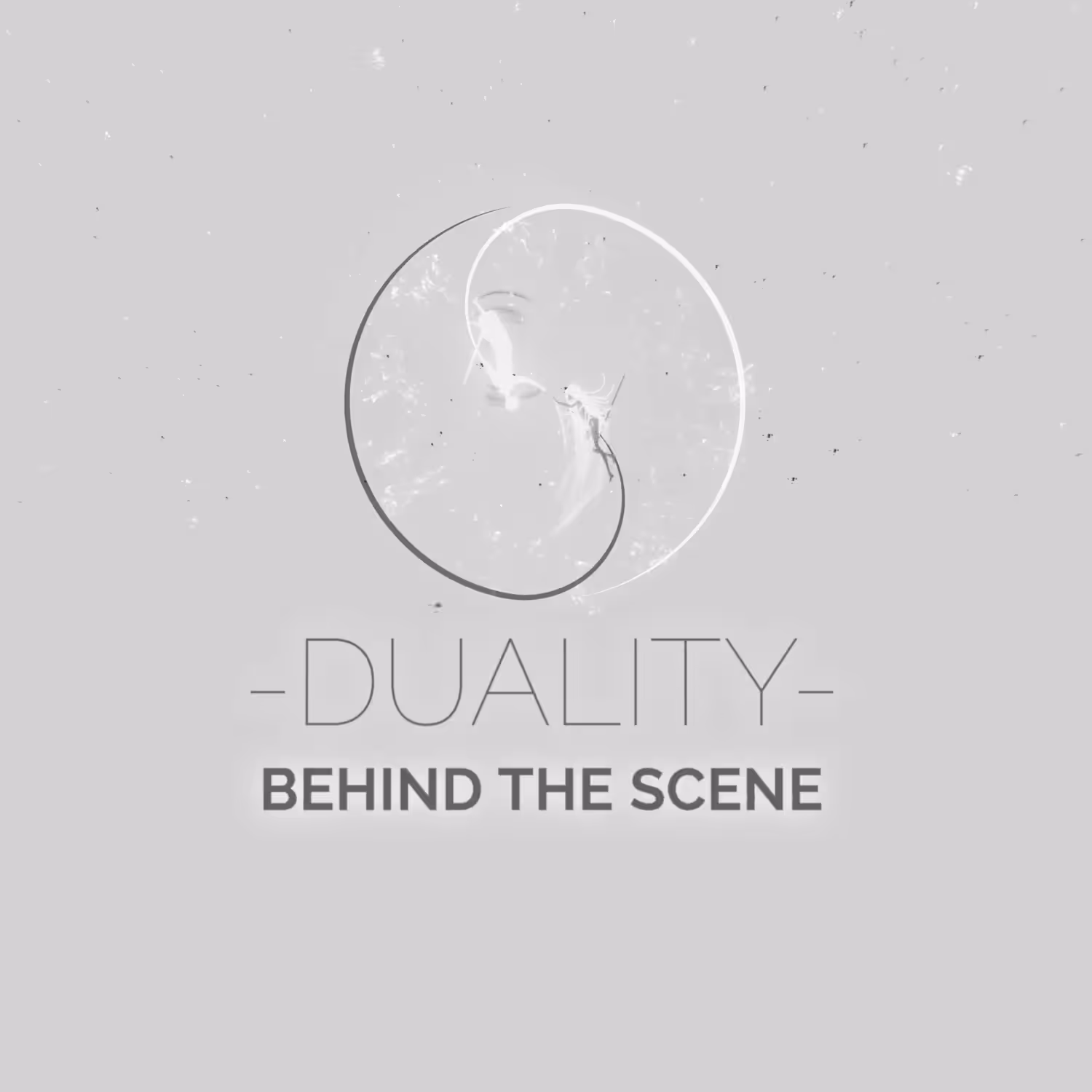 Duality - Behind the scene