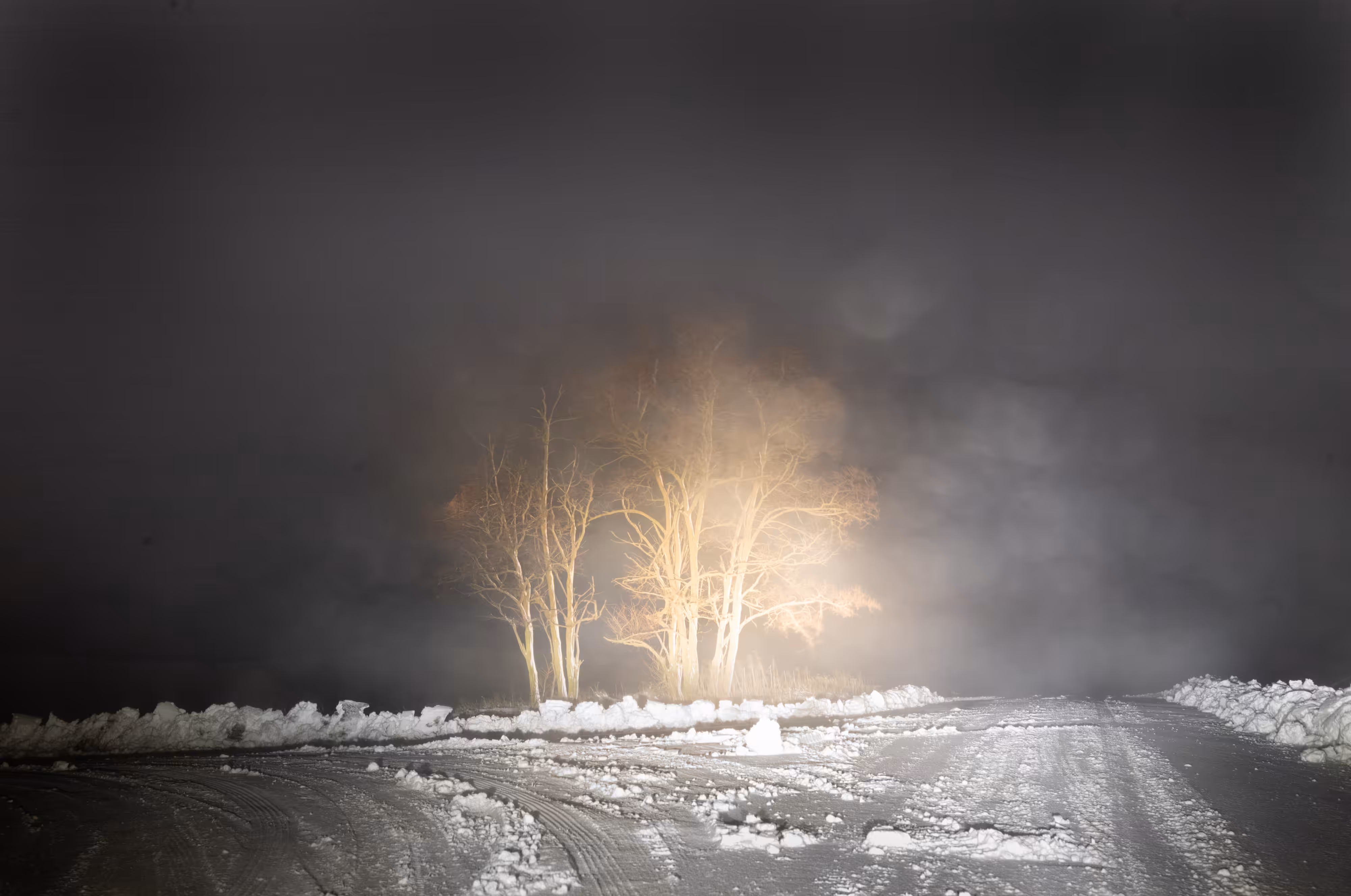 The Black Mechanism #42 (Untitled 12044-4795) by Todd Hido