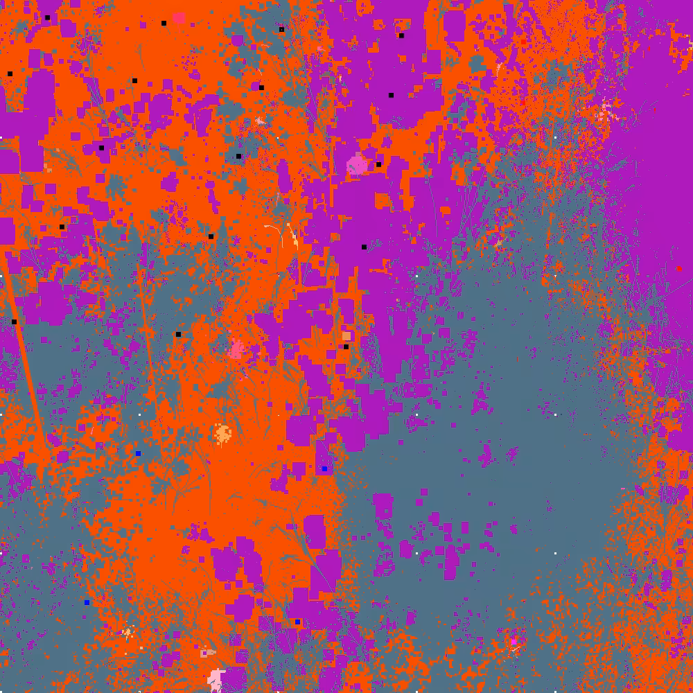 Infinite Garden: 35477 Flowers