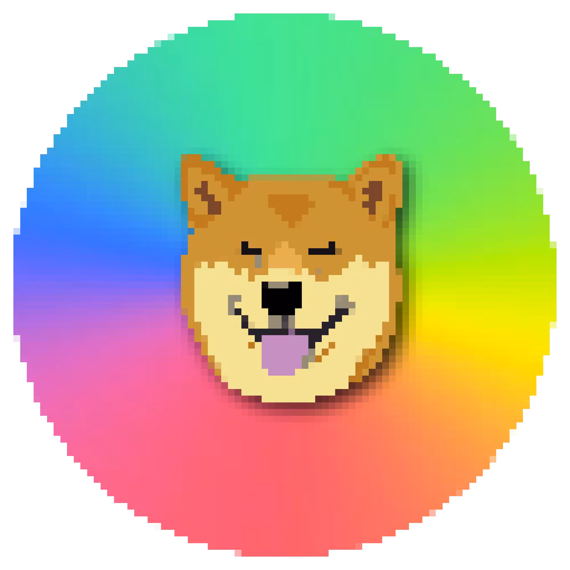 Doge-NFT #13