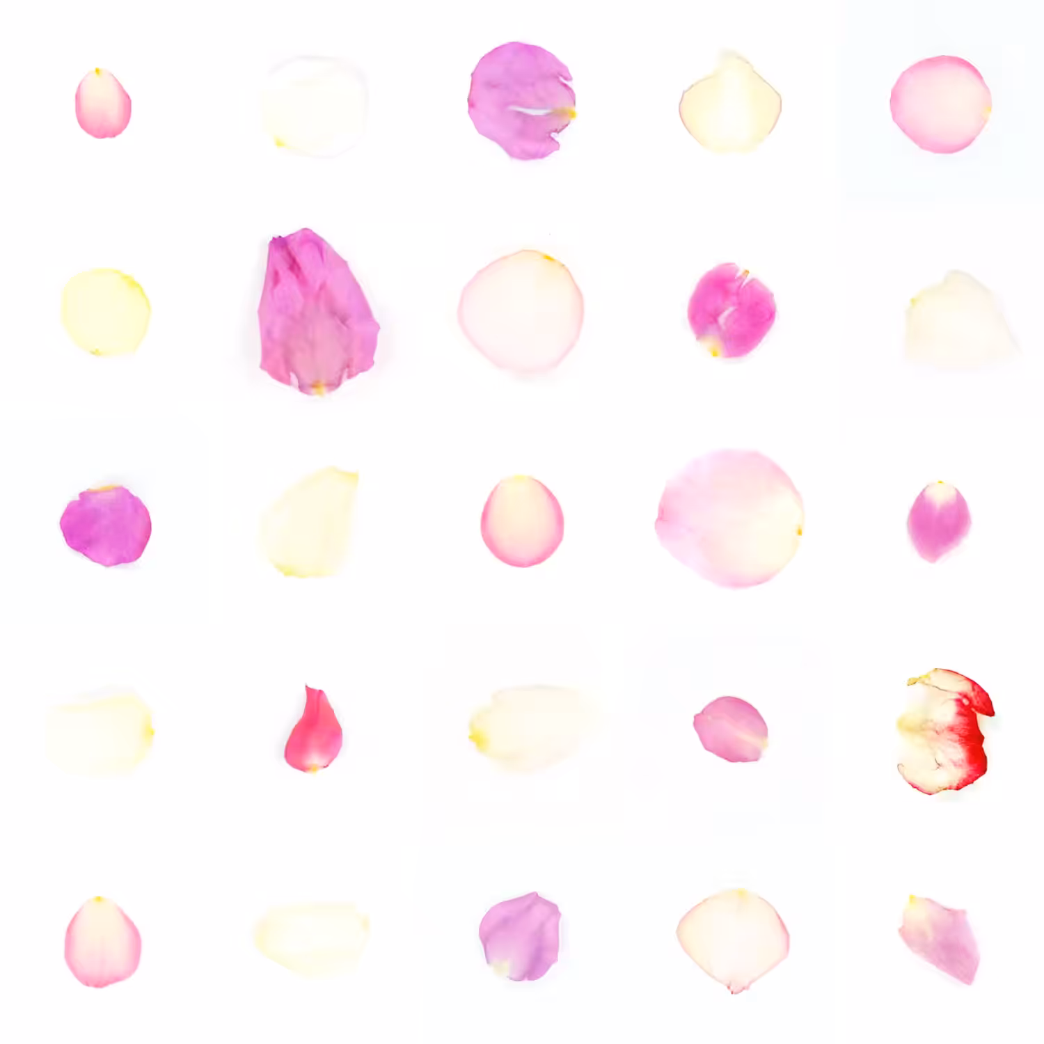 Infinite Petals 5x5#1548
