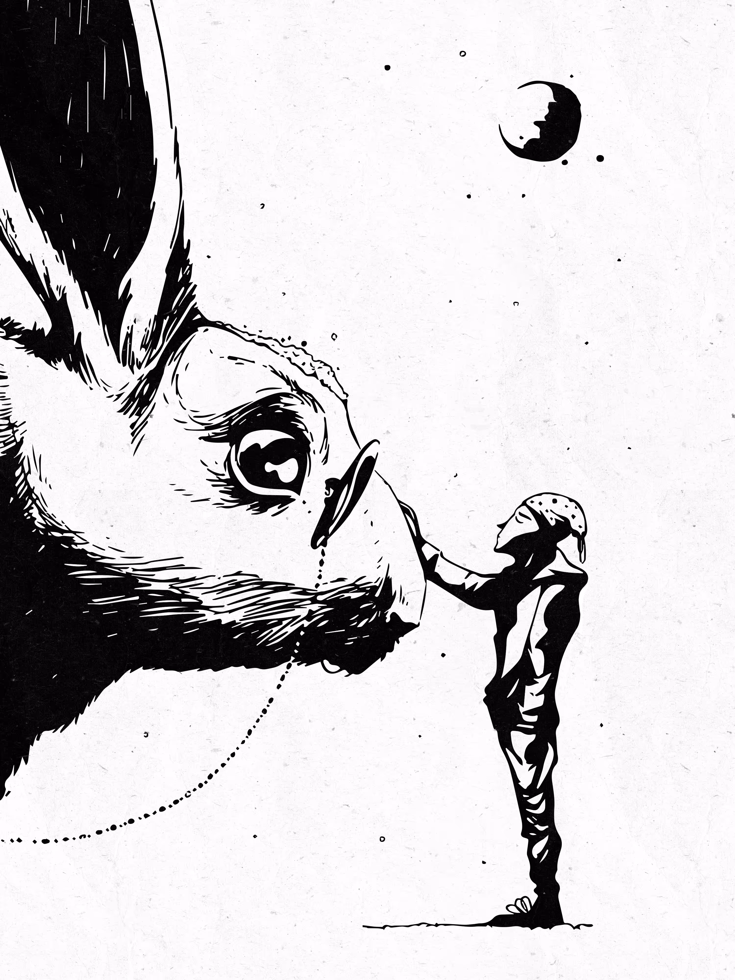 Meeting with Mrs. Rabbit