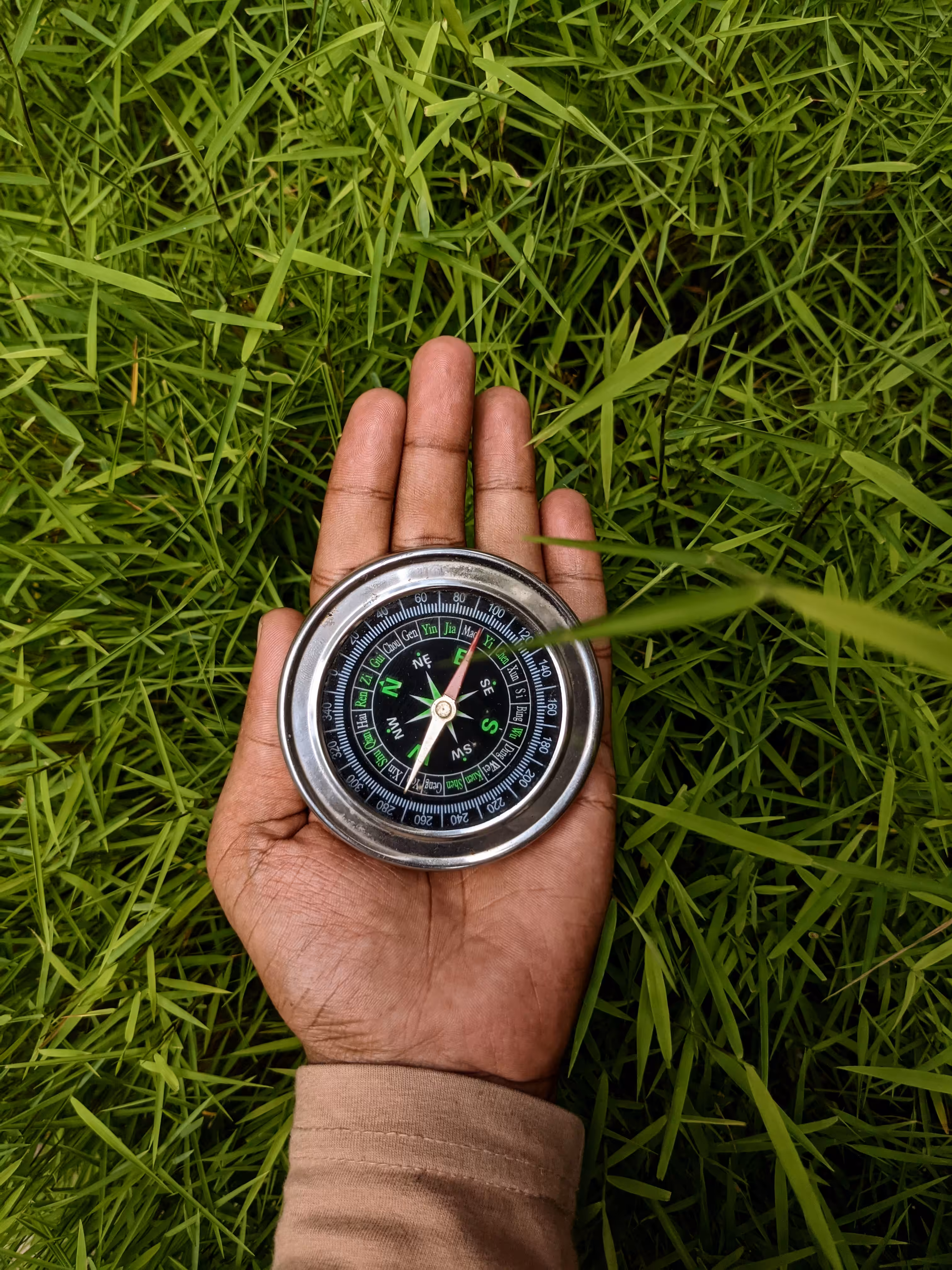 Lost in Nature 