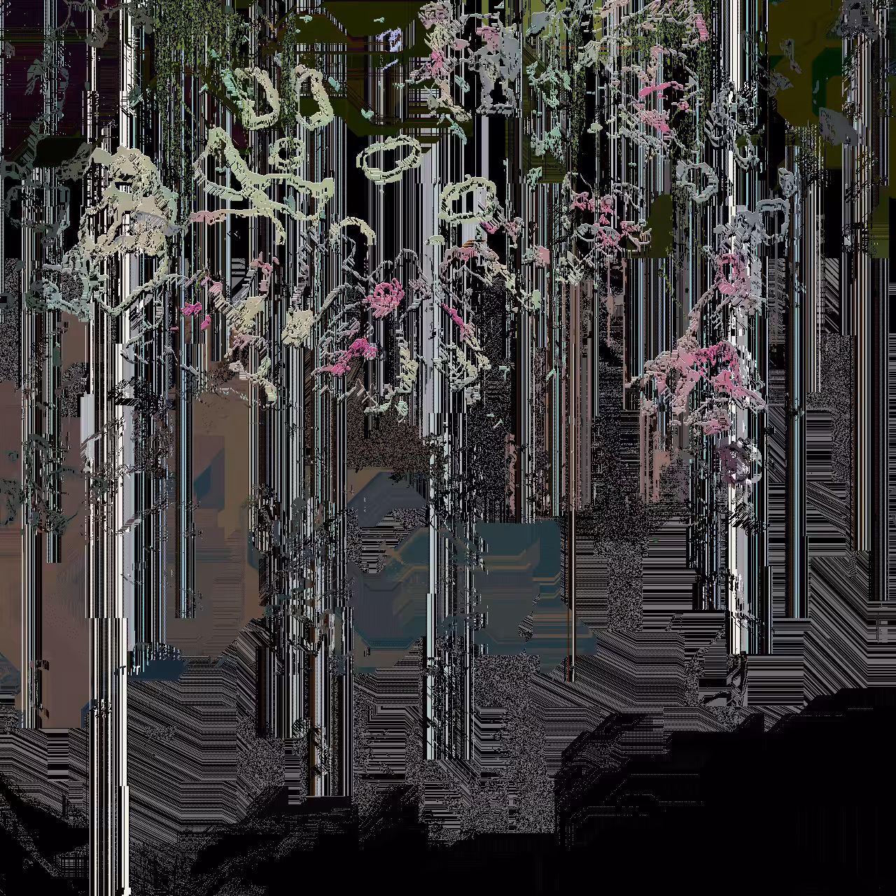 Birch grove