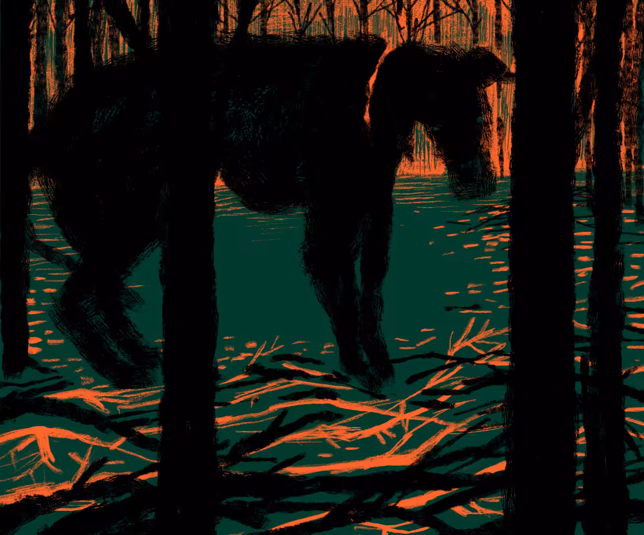 I found a friend in the forest