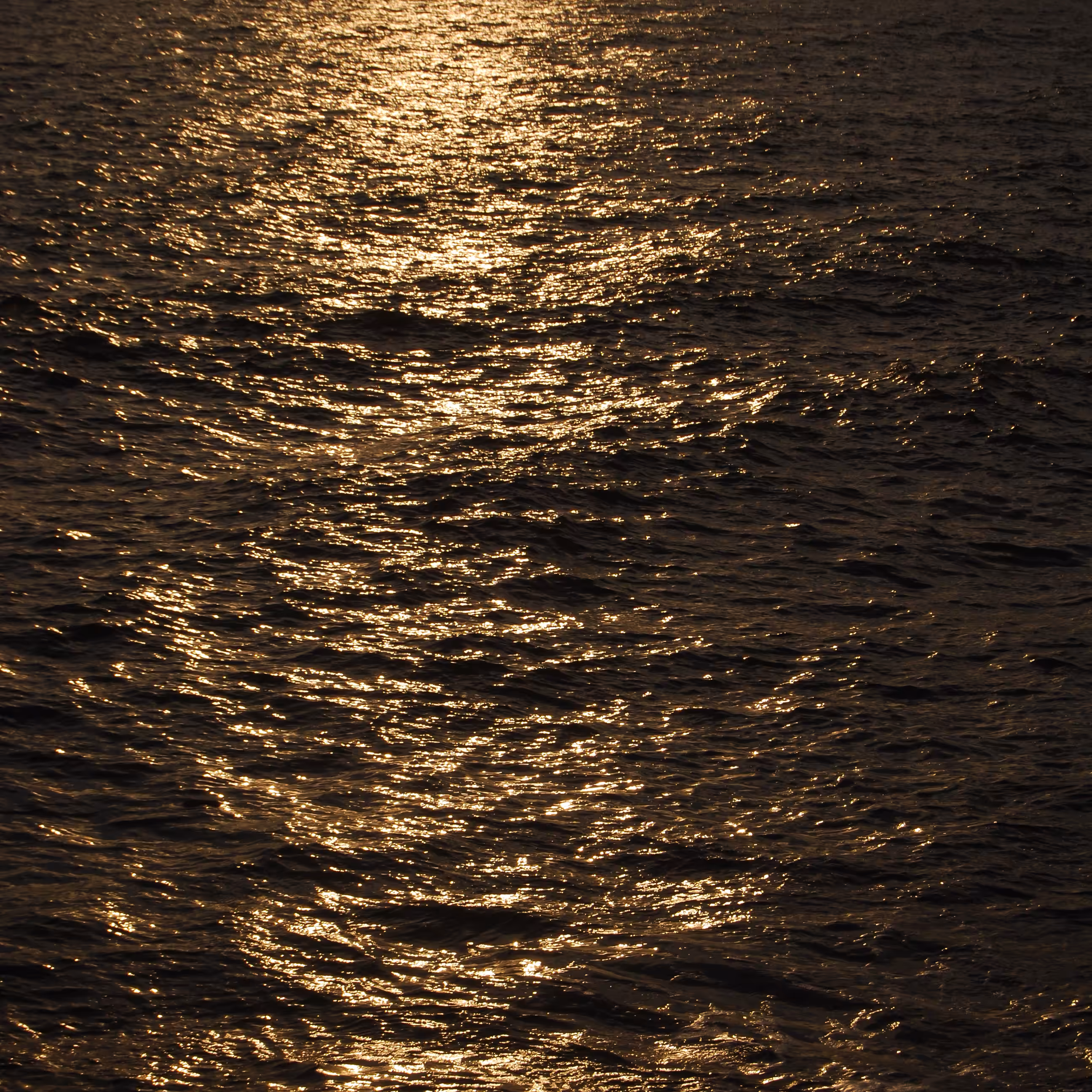 Sea of Gold